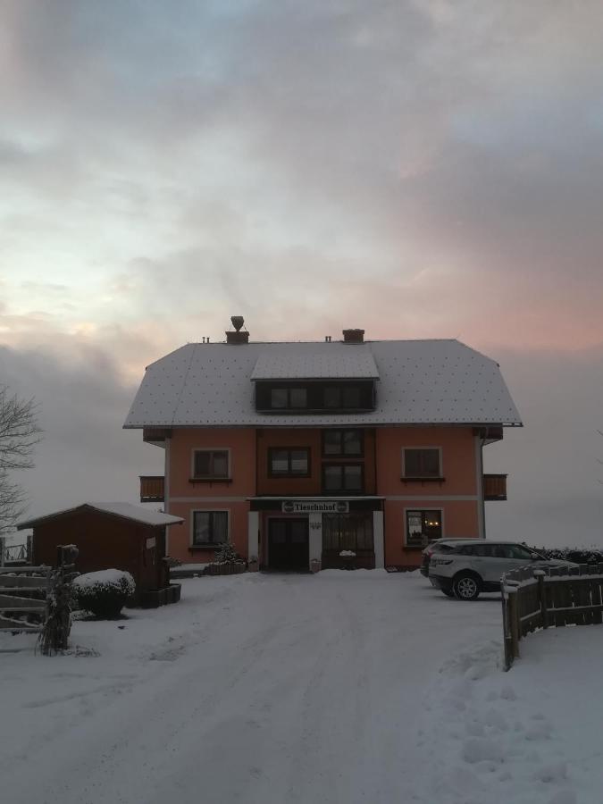 Tieschnhof Hotel Grobming Eksteriør billede
